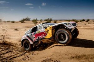 rally-marocco-2017-ogier-300x200 Lion Brand - Sport